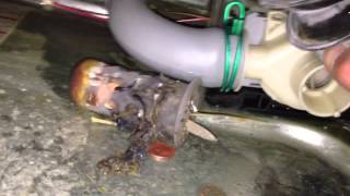 Fixing a No-Drain Problem in a Front Load Washer by Cleaning the Gookus out of the Drain Pump