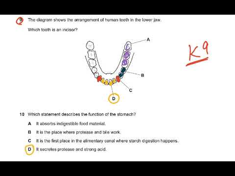 5090 biology O LEVEL JUNE 2019 PAPER 11