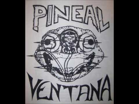 Pineal Ventana - Mended