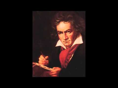 Beethoven-Quinta sinfonia: Sinfonia do Destino