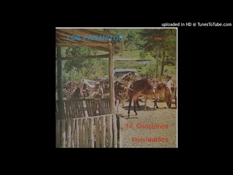 Amor Y Venganza-Los Paisanitos