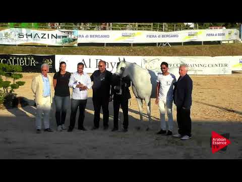 2 nd place N.60 JUWANDA OS - Bergamo 2017 - Senior Mares Championship (Class 22)