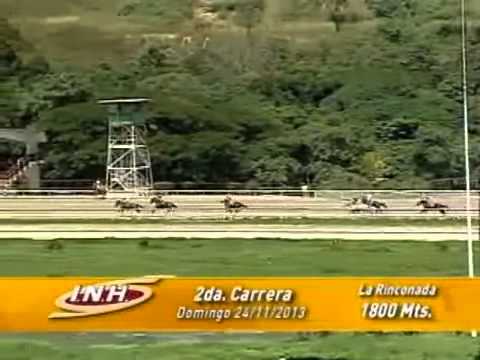2da Carrera Domingo 24 noviembre 2013 LA RINCONADA