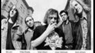 Gin Blossoms- Until I fall Away ( Acoustic Live)