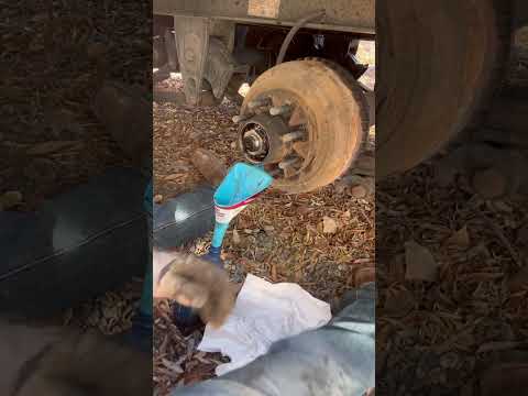 DEXTER 10K AXEL INNER SEAL REPLACMENT