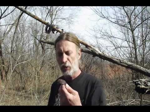 download lagu mp3 mp4 Indian Jerky Recipe, download lagu Indian Jerky Recipe gratis, unduh video klip Indian Jerky Recipe