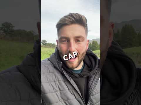 Amanita Mushrooms! Fly agaric, Death cap & more!