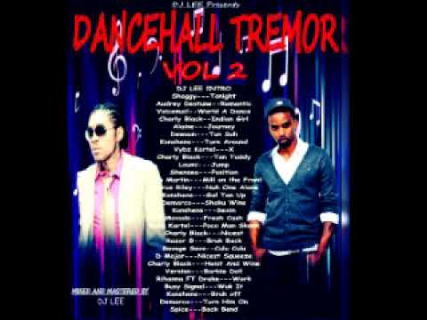 DJ LEE DANCEHALL TREMOR VOL 2 MIX    0726586022