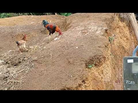 BAIRRO LAVOURINHA  E SEUS ENCANTOS SANTO ANTÔNIO DO AVENTUREIRO