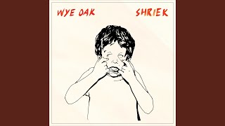 Music video thumbnail preview for Despicable Animal by Wye Oak