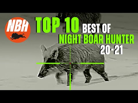 Top 10 Best of Night Boar Hunter 20/21 | Wild Boar Hunting