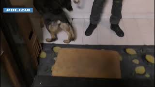 operazione-alto-impatto-a-matierno-blitz-interforze-all-alba