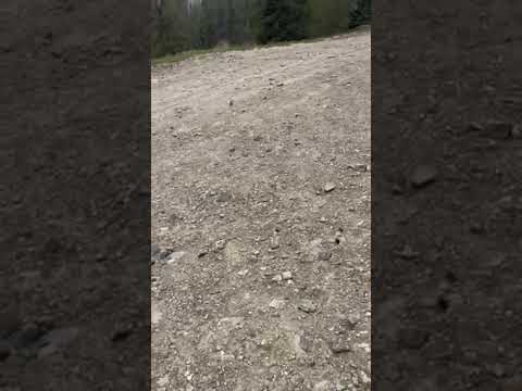 snow in may