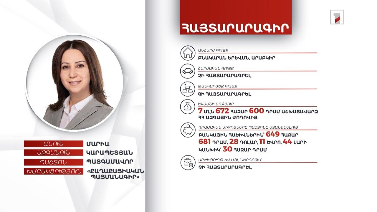 28 դոլար, 11 եվրո, 44 լարի. պատգամավոր Մարիա Կարապետյանի հայտարարագիրը