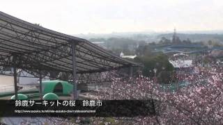 preview picture of video '鈴鹿サーキットの桜　鈴鹿市　2011年4月8日'