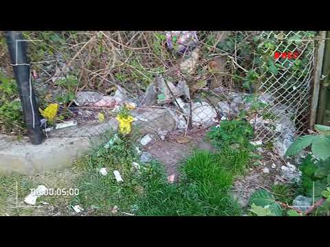 Koło Biedronki w SZPROTAWA na ulicy Małgorzaty Kożuchowskiej 7