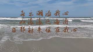 自耶稣来住在我心