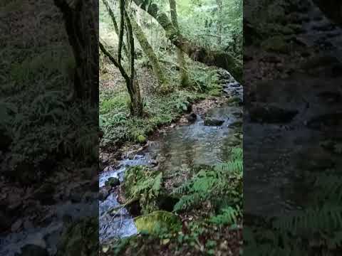 Andaina Campo Lameiro. Caminar es vida!