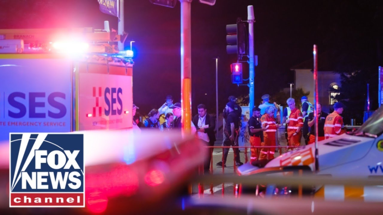 Danny Danon WARNS of antisemitism after Australia terror attack: ‘We knew it was coming’