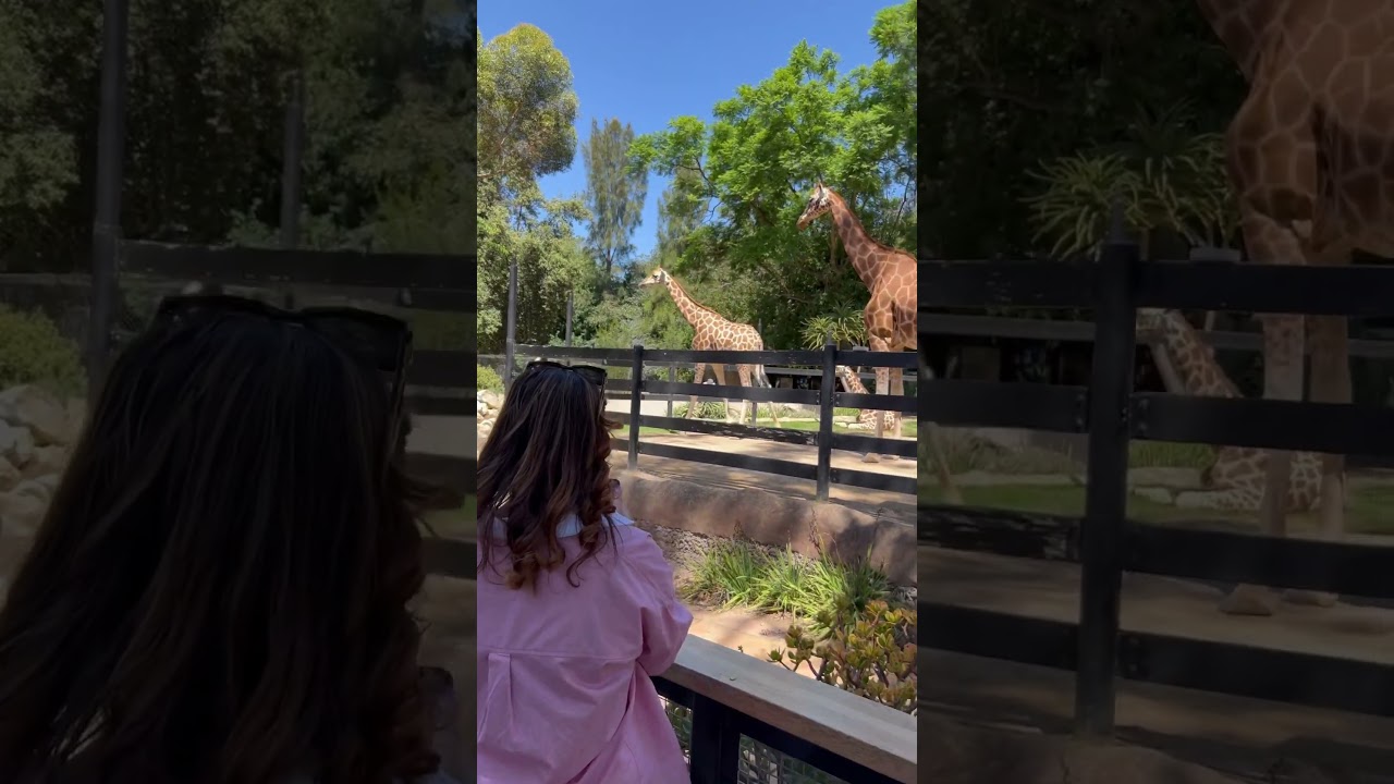 YouTube Short thumbnail