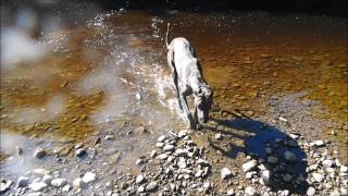 Old Friend - Angus &amp; Julia Stone