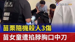 Re: [新聞] 苗栗隨機砍人影片曝光！男抓住女童「一刀