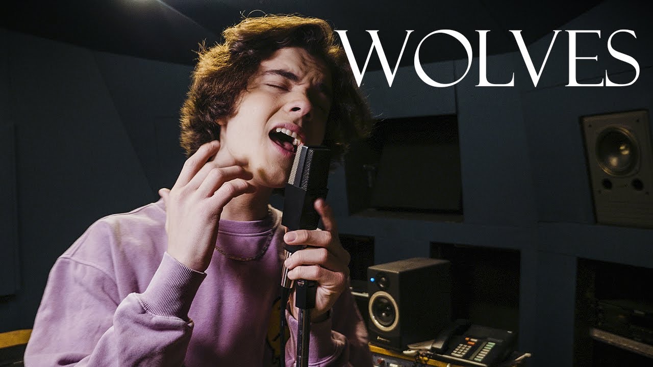Selena Gomez, Marshmello - Wolves (Cover by Alexander Stewart)