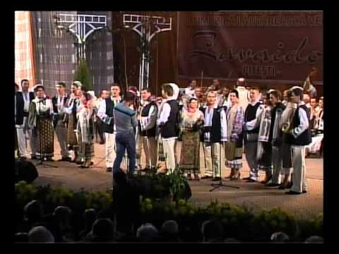 Festival "Zavaidoc" 2011 - Ansamblul