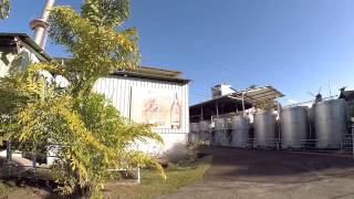 preview picture of video 'Distillerie Trois Rivières - Sainte Luce Martinique - Média NEGO'