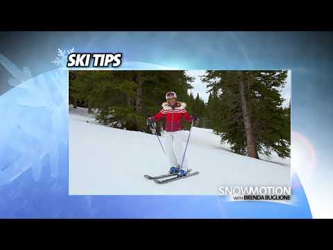 SnowMotion 2017 Ski Tip - Greybird Days