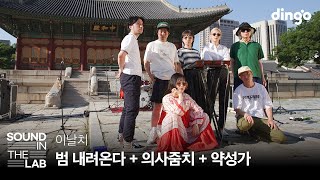이날치 - 범 내려온다, 의사줌치, 약성가 | [사운드인더랩] 덕수궁에서 펼쳐지는 밴드 라이브🐯