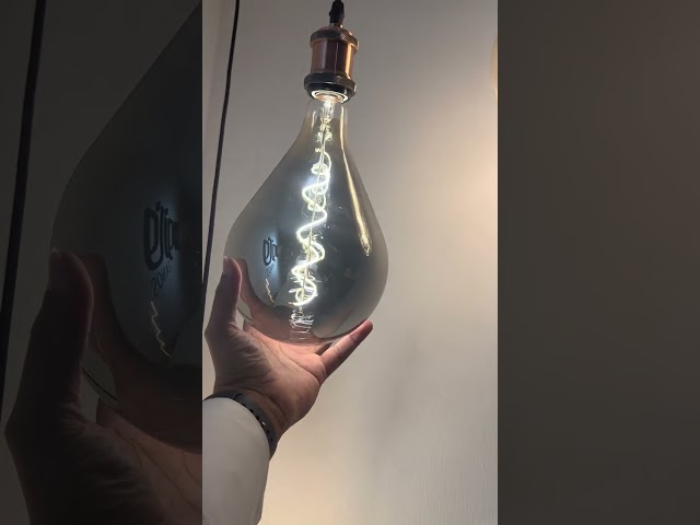 Decorative Bulb Filament Hazel Oval 47553