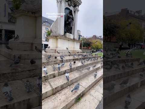 Piccadilly Gardens Manchester UK 🇬🇧