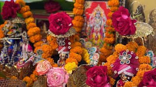 Pandit Anil shastri ji hsp is live दुर्गा सप्तशती संपूर्ण हवन