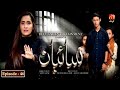 Saibaan Episode 46 Aly Khan Sabreen Hisbani GeoKahani