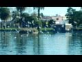 Tomboy - Panda Bear 