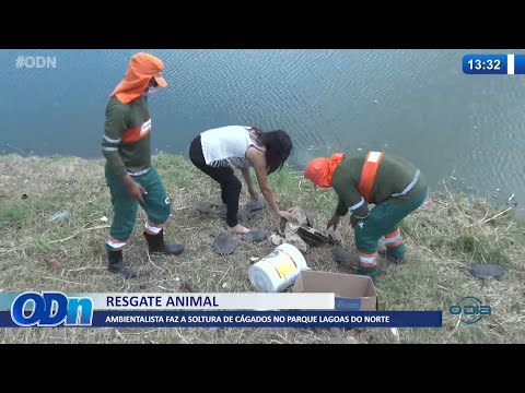 Ambientalista faz a soltura de cágados no Parque Lagoas do Norte 17 01 2022