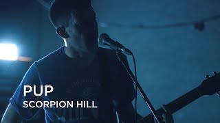PUP | Scorpion Hill | First Play Live