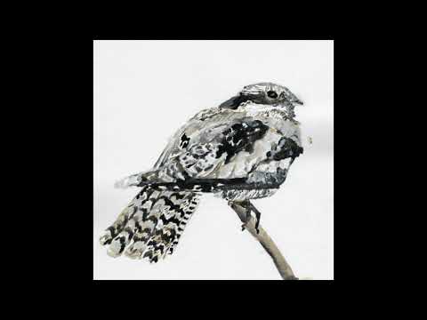 Video thumbnail for Nightjar