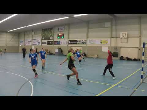 Overzicht Vrone DS1 - JHC DS1 (2020-01-26)