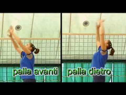 TECNICA E DIDATTICA DELL'ALZATORE DVDRip