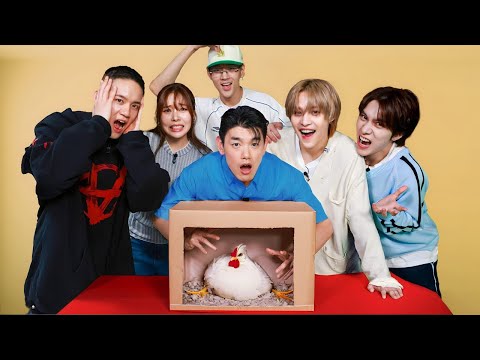 DIVE What's In The Box Challenge 📦