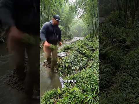 dia membuat tempat persembunyian di dalam gerbong kereta tua di hutan