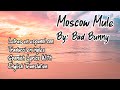 Bad Bunny - Moscow Mule Lyrics (English and Español)