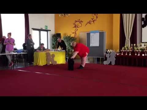 Bashir Groitzsch 2015