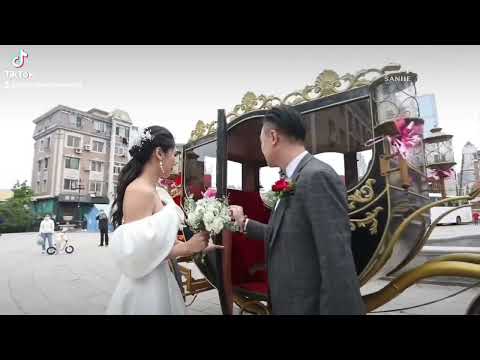 Royal horse-drawn carriage ride for wedding#wedding buggy for park, #weddingdays#horse and carriage