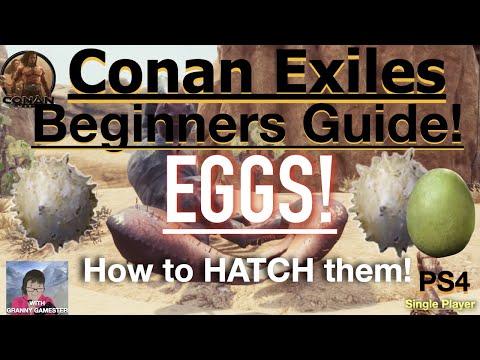 Spider Egg Sac Conan