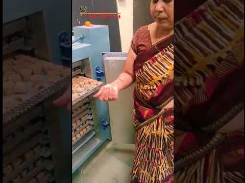 Garlic Dryer Machine