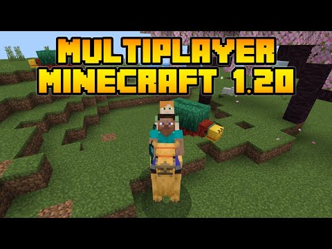 How to Multiplayer in Minecraft 1.20 ||  Play in MCPE 1.20 Offline