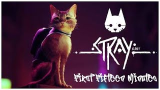 First 15 Minutes - Stray - PC Gameplay